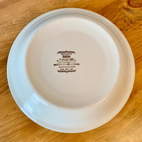 Watkins Stoneware Pumpkin Chiffon Recipe Deep Pie Plate 11" Recipe Vtg 1981 - Picture 7 of 12